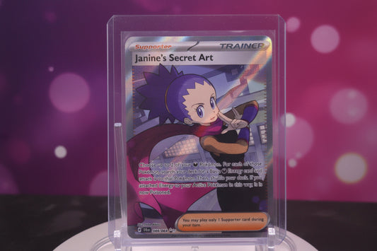 Janine's Secret Art